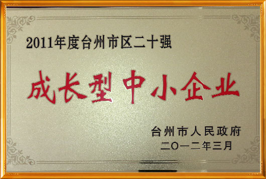 certificat de onoare-副本-副本